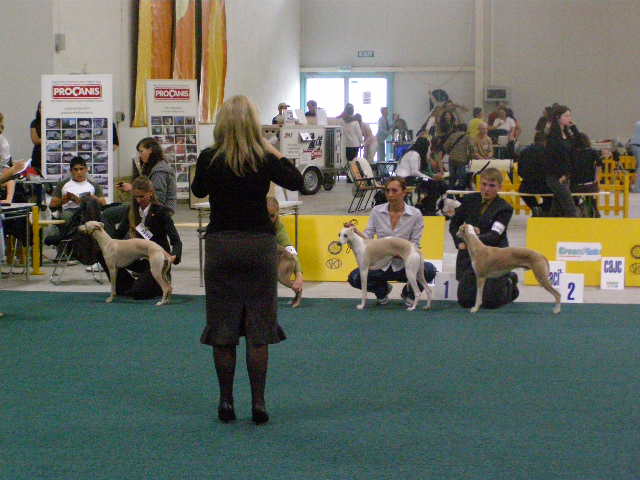 Medzinarodna vystava Inheba 52009 015.jpg
