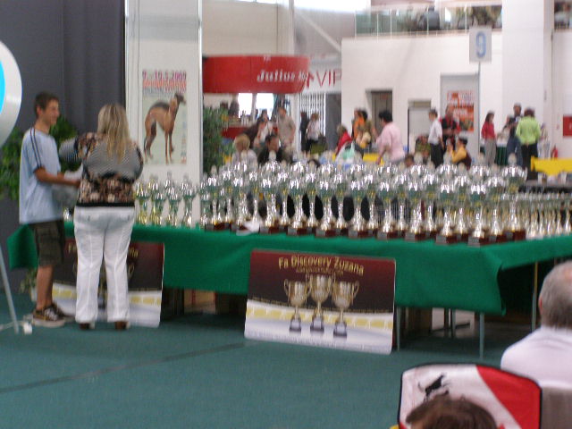 Medzinarodna vystava Inheba 52009 024.jpg