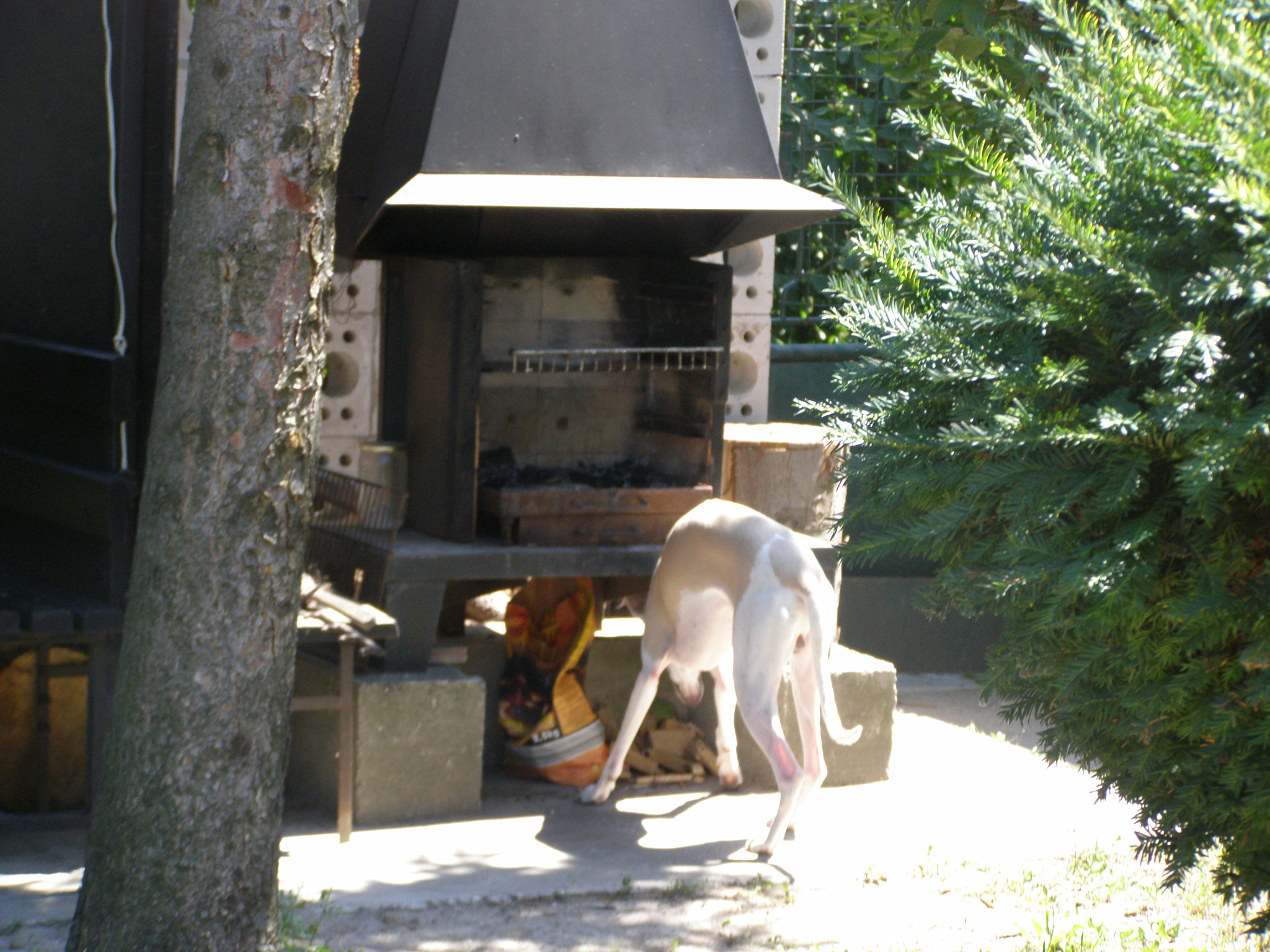 Rabitko zahrada (11).jpg