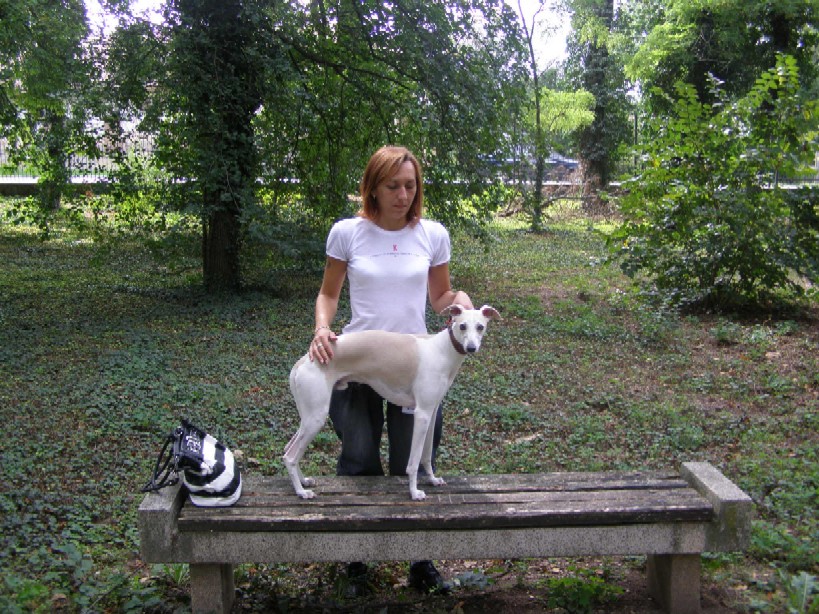 Rabitko Mojmirovce 029.jpg