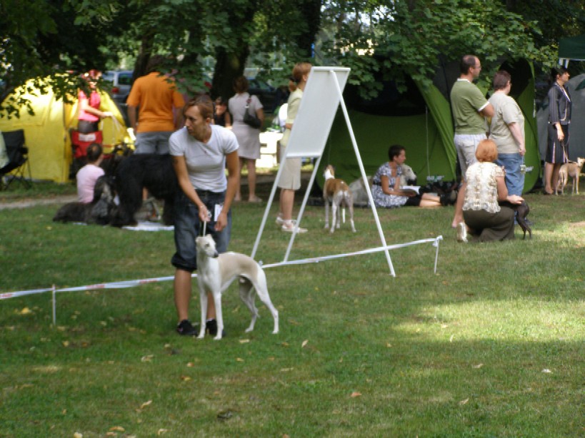 Rabitko Mojmirovce 038.jpg