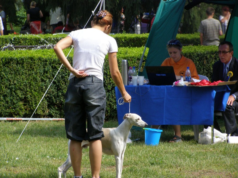 Rabitko Mojmirovce 042.jpg