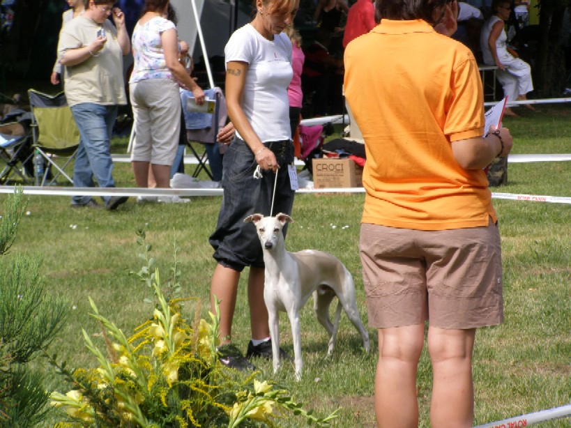 Rabitko Mojmirovce 044.jpg