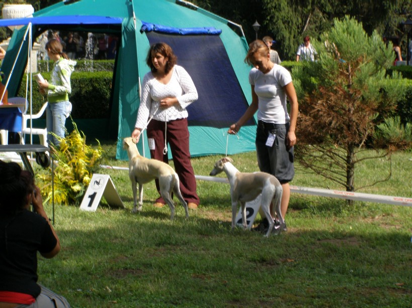 Rabitko Mojmirovce 046.jpg