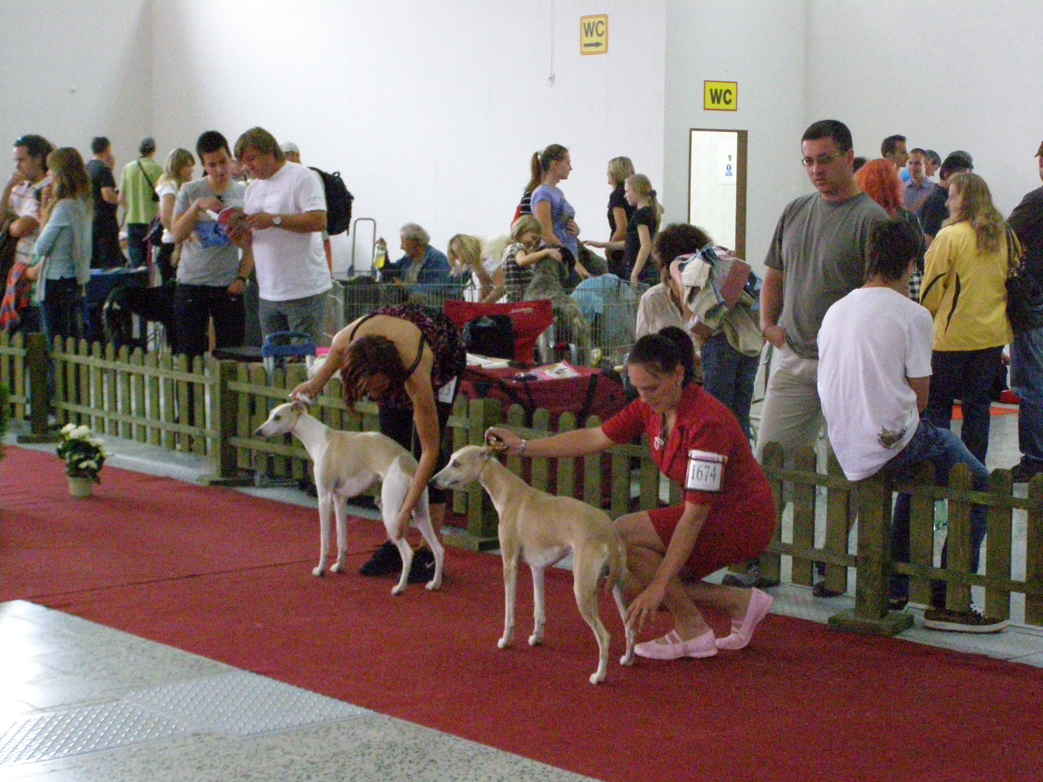 Nitra 62009 001.jpg