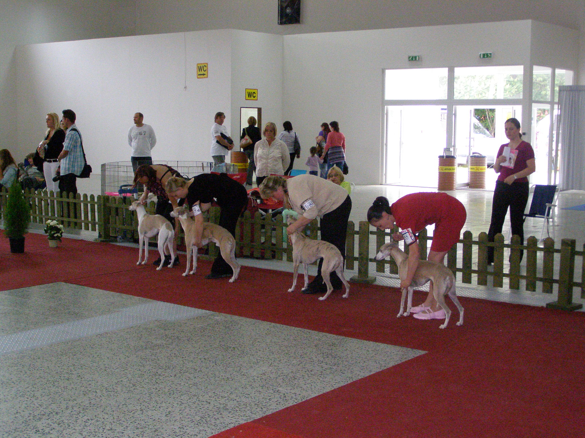 Nitra 62009 011.jpg