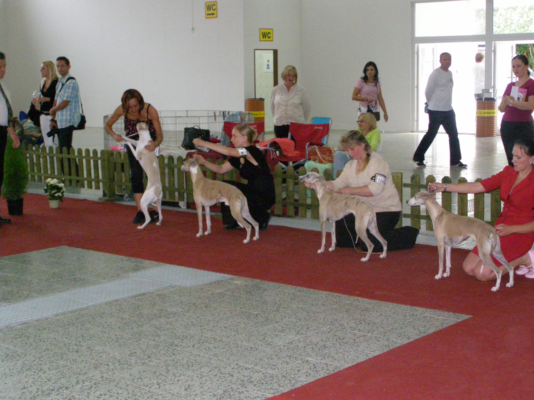 Nitra 62009 012.jpg