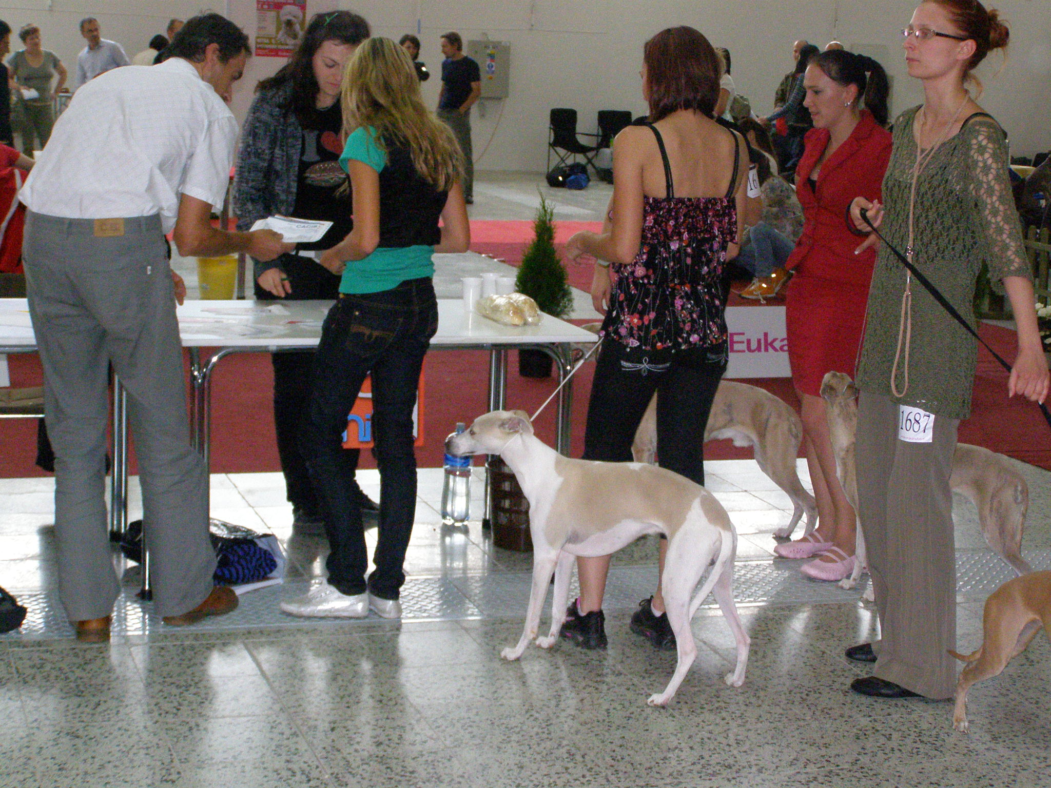 Nitra 62009 014.jpg
