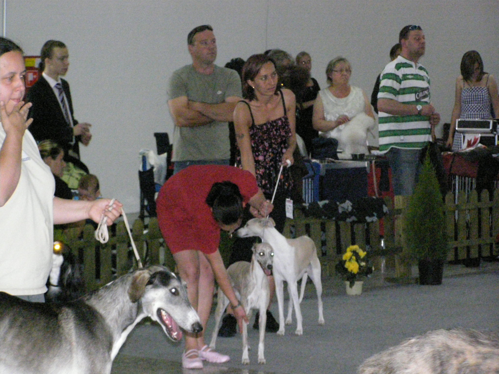 Nitra 62009 019.jpg