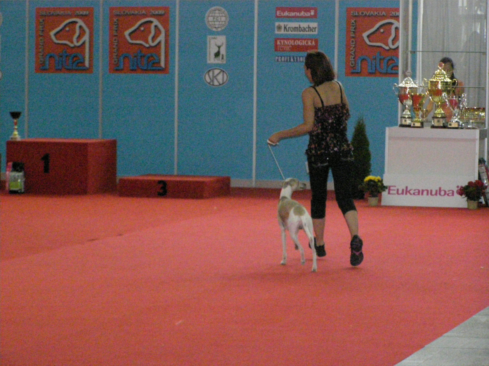 Nitra 62009 020.jpg