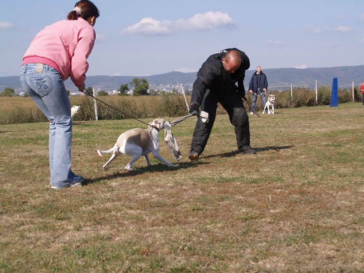 CVIčáK 059.jpg