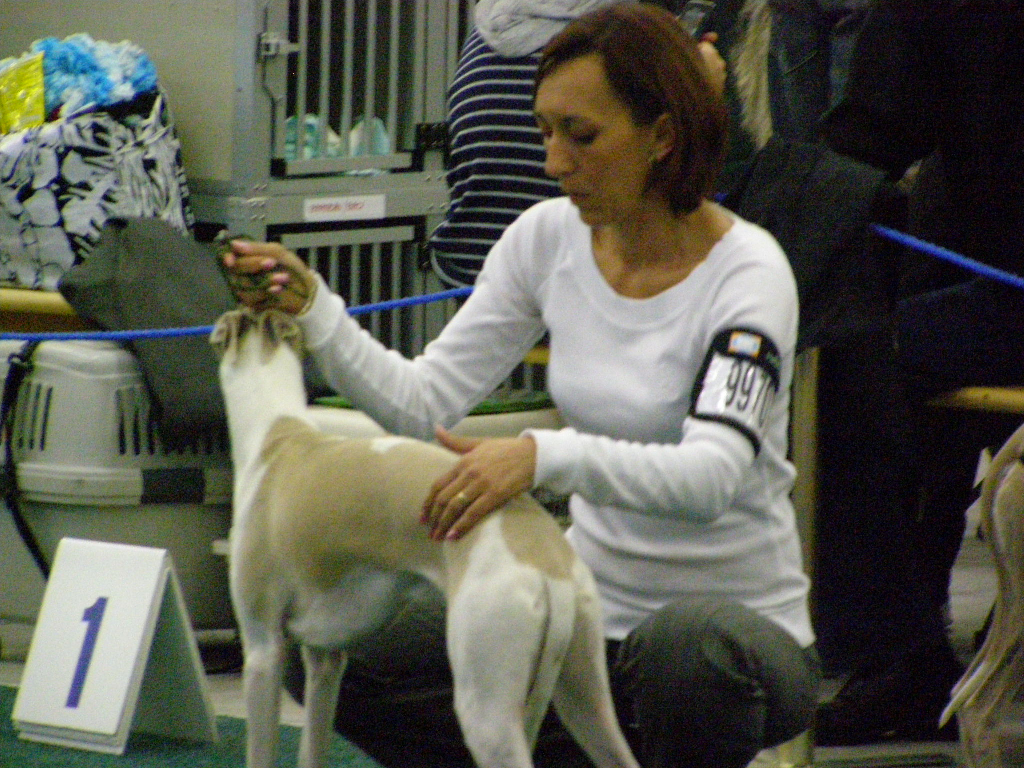 Rabit Svetovka 014.jpg
