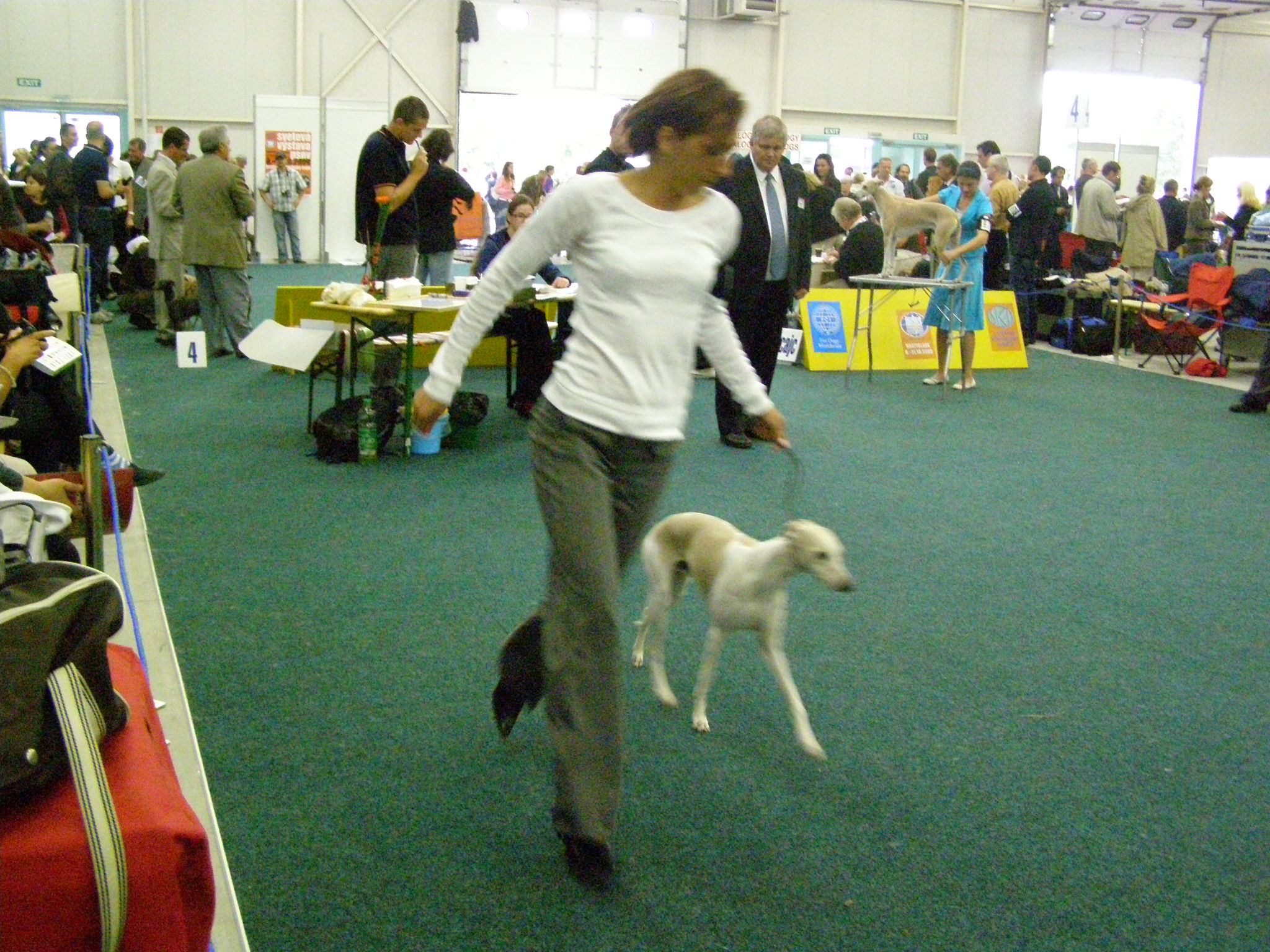 Rabit Svetovka 022.jpg