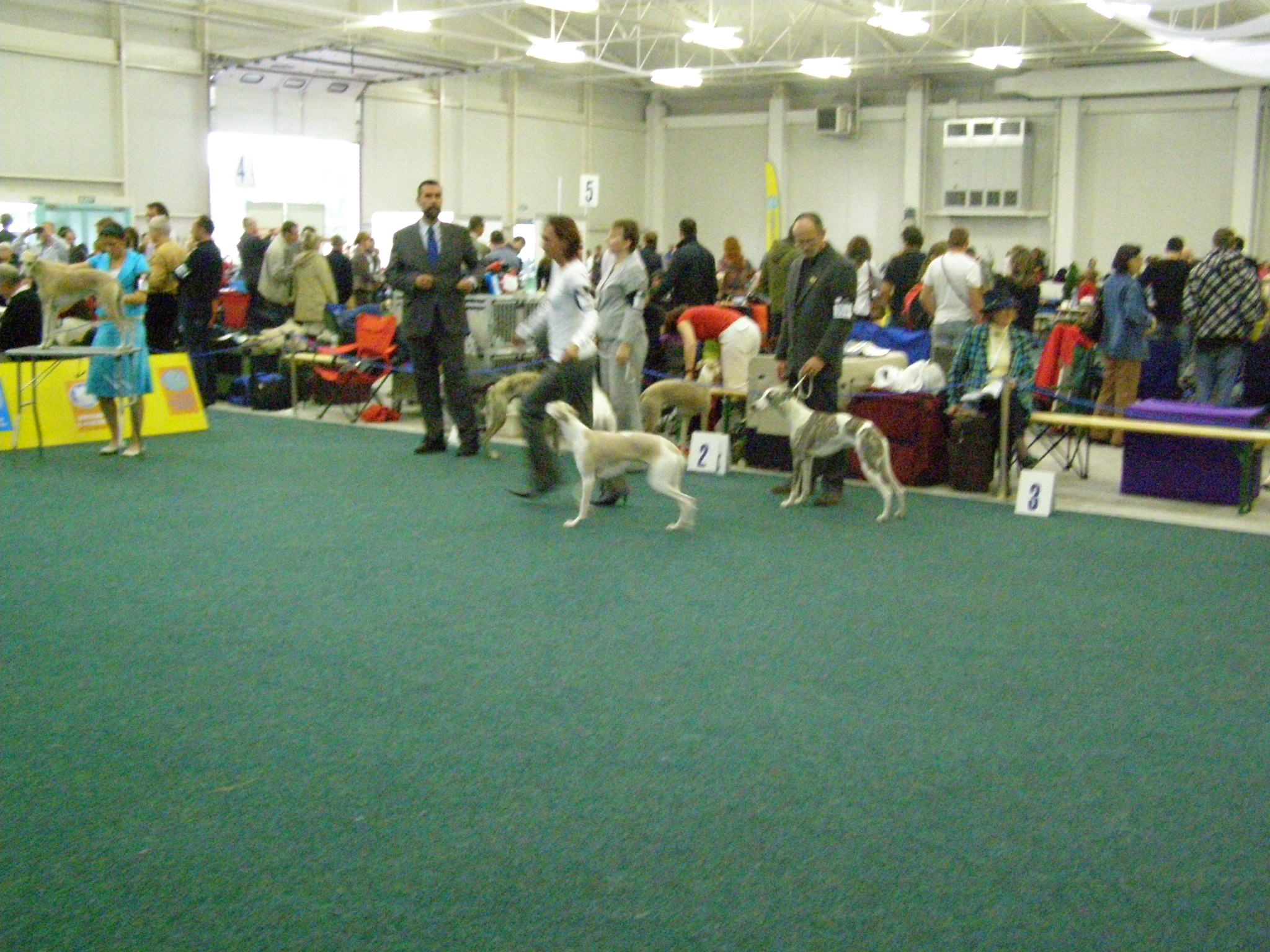 Rabit Svetovka 023.jpg