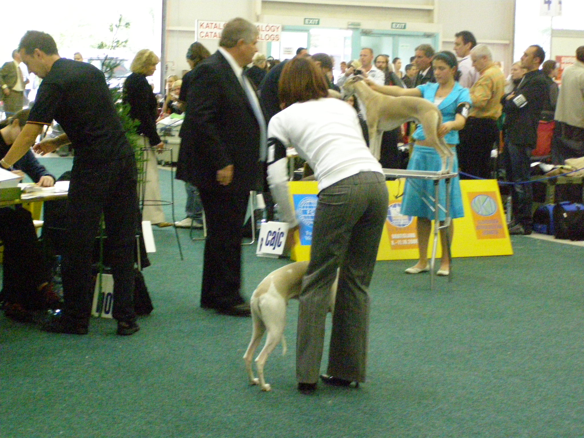 Rabit Svetovka 026.jpg