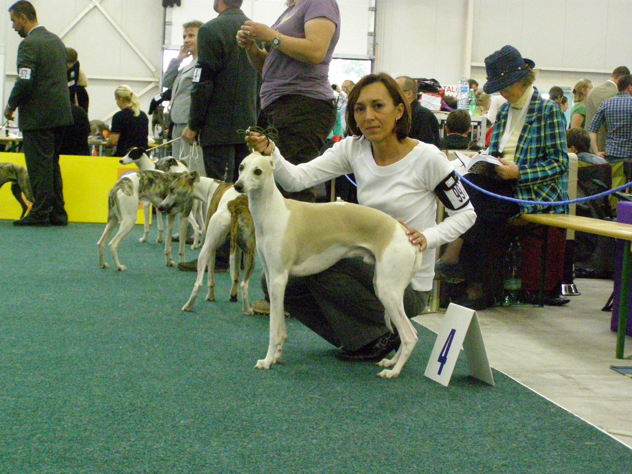 Rabit Svetovka 029.jpg