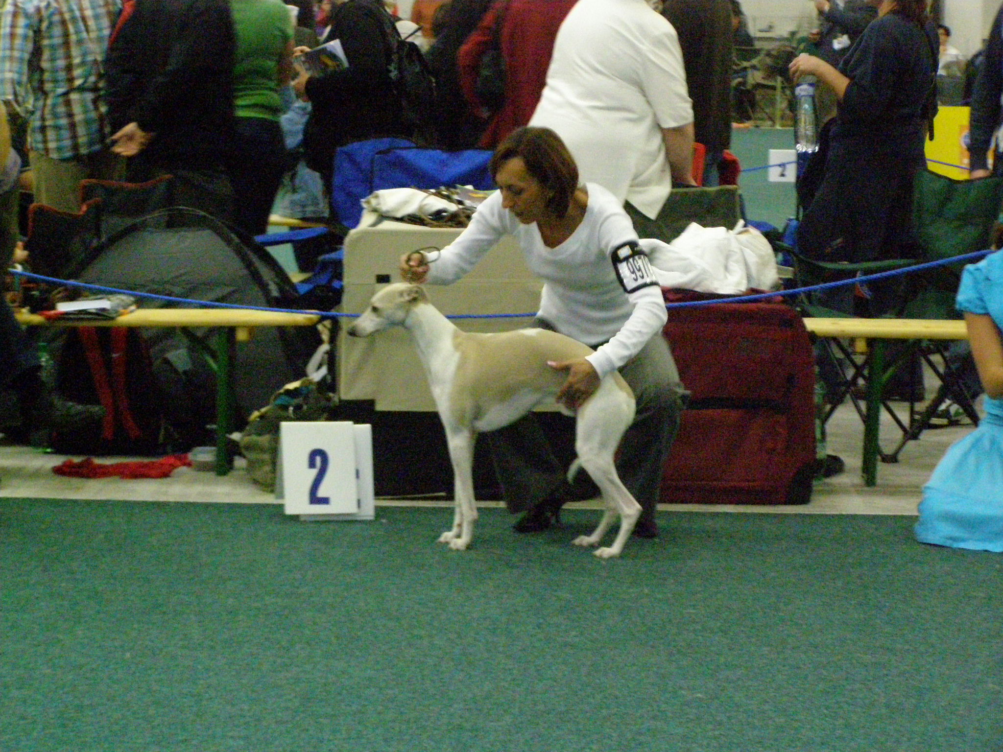 Rabit Svetovka 032.jpg