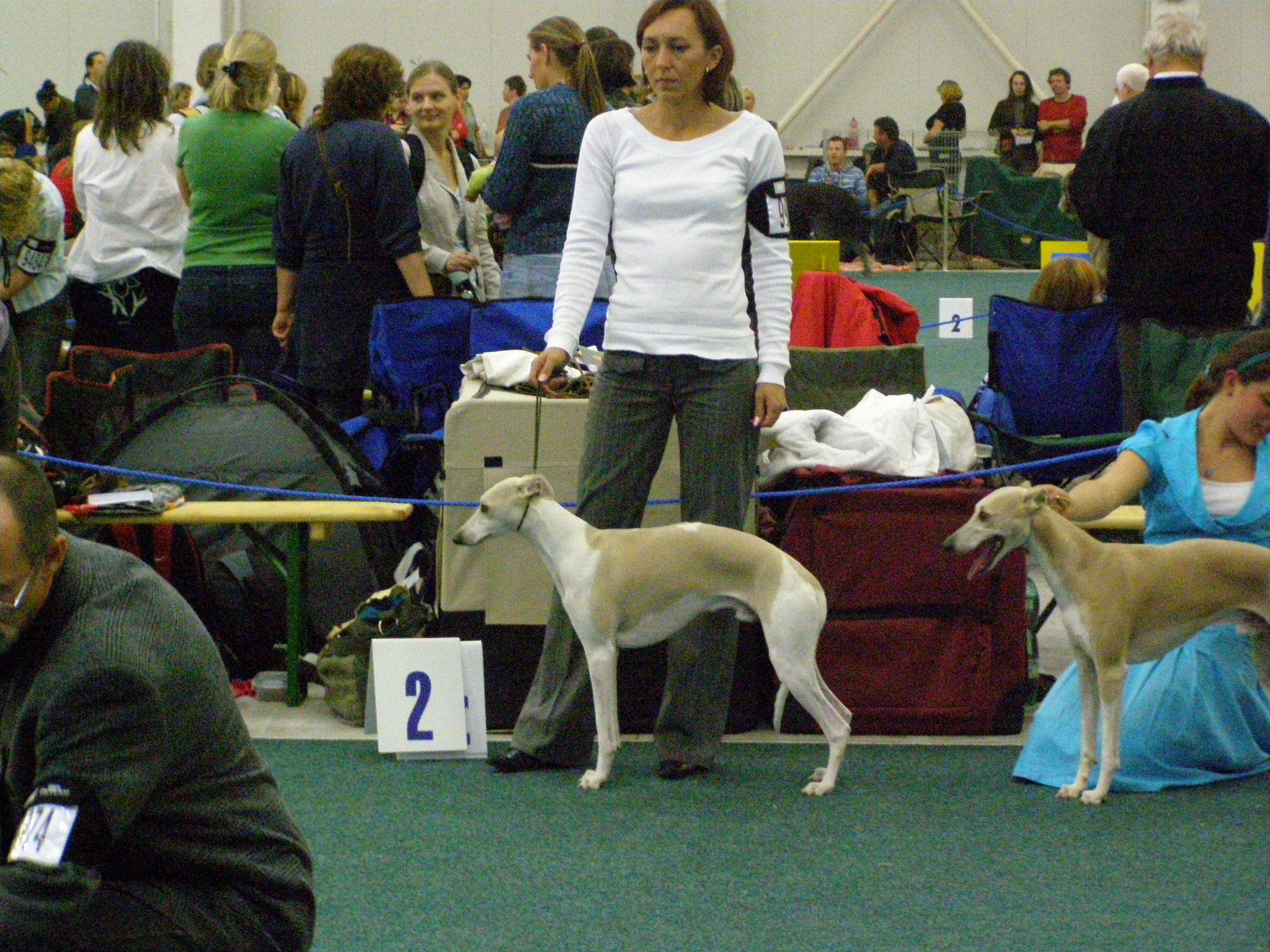 Rabit Svetovka 033.jpg