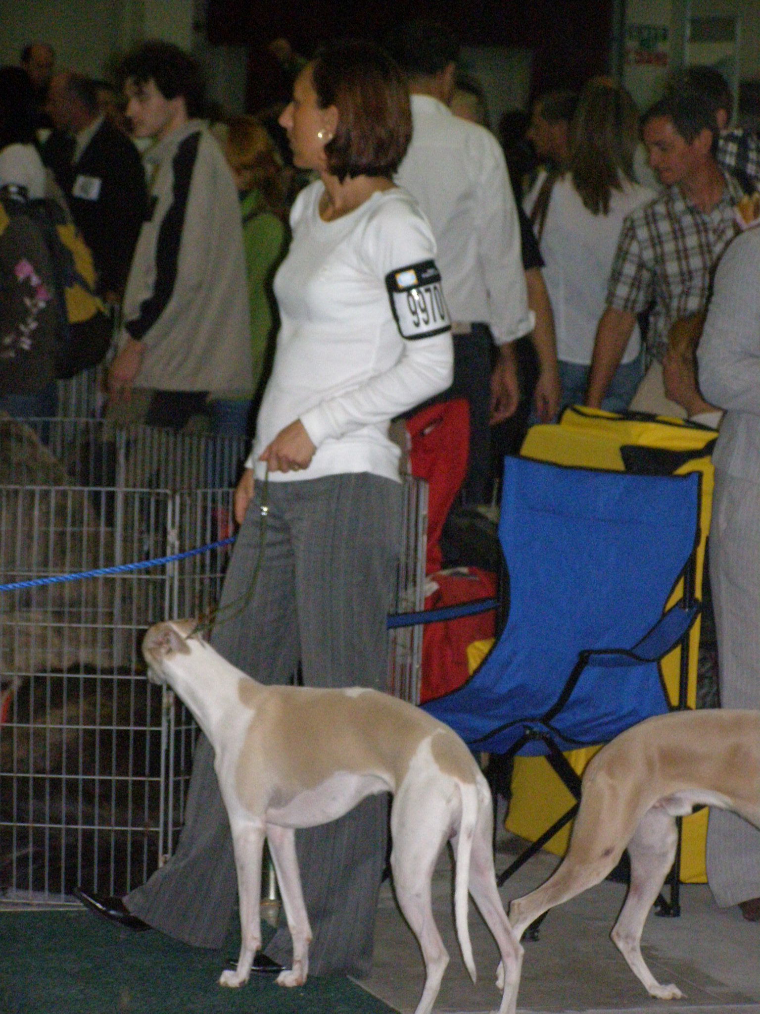 Rabit Svetovka 009.jpg