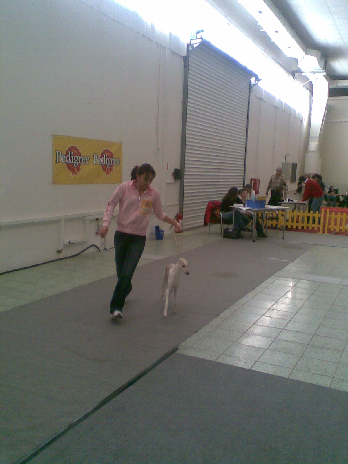 Rabit 015.jpg