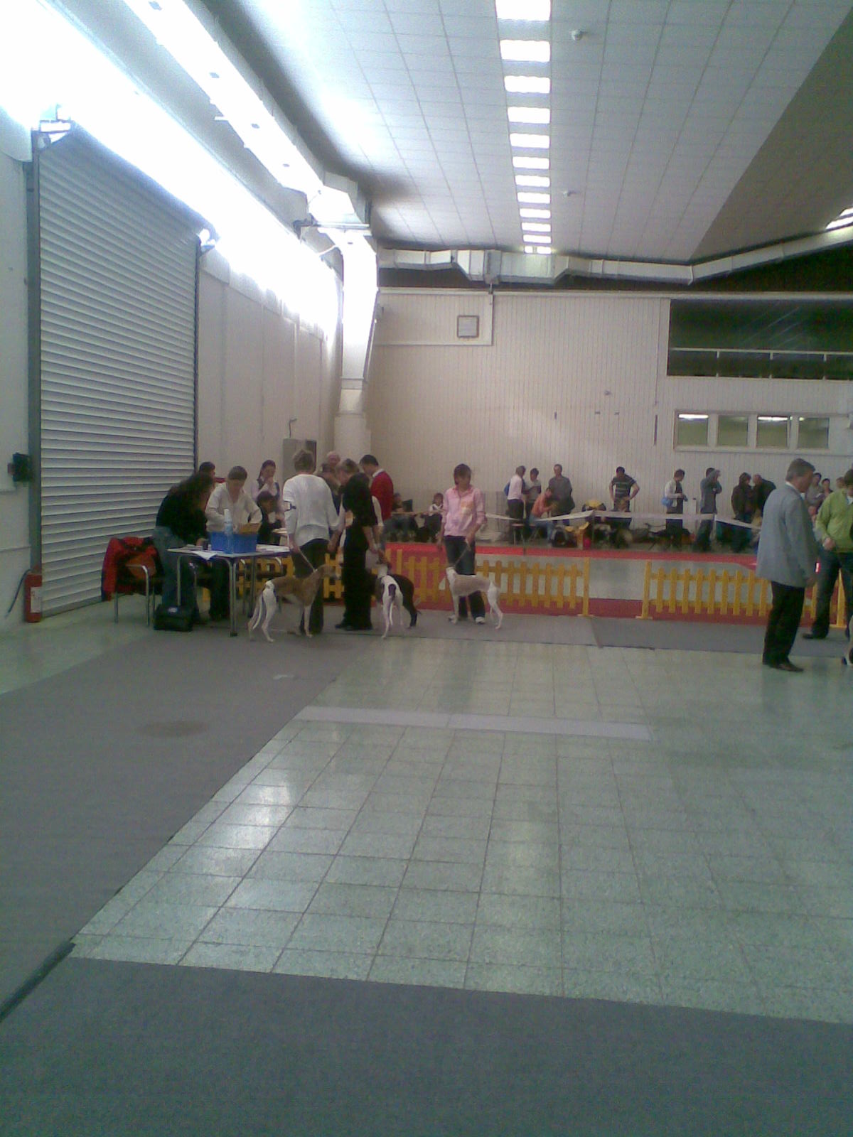 Rabit 016.jpg