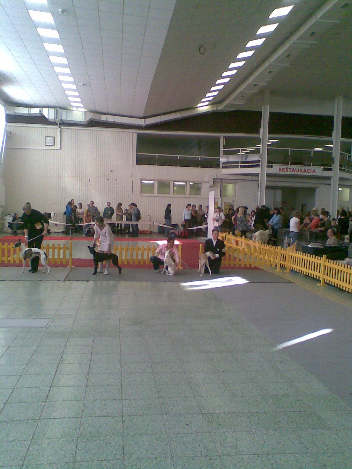 Rabit 013.jpg