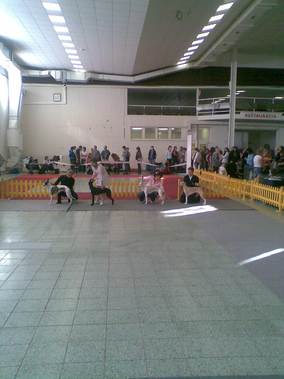 Rabit 012.jpg