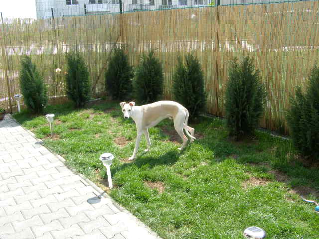 Obrázok 042.jpg