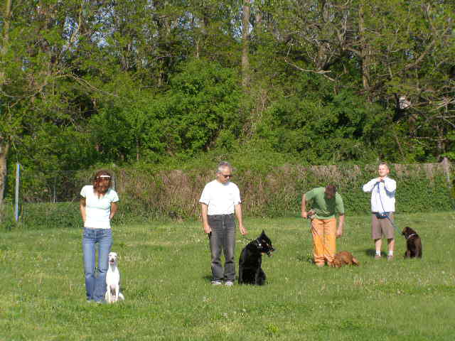 Rabit 005.jpg