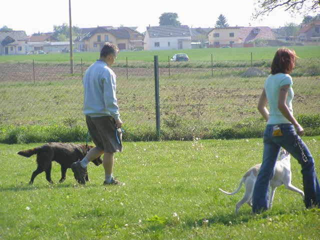 Rabit 006.jpg