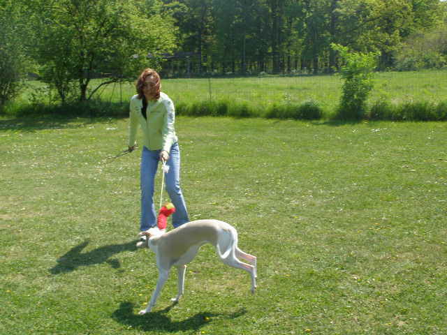 Rabit 037.jpg