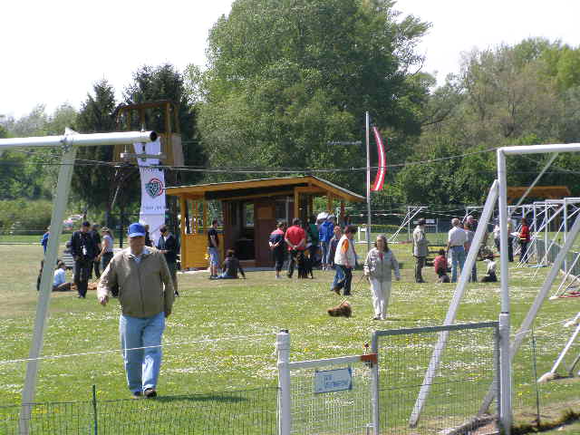 Rabit 039.jpg