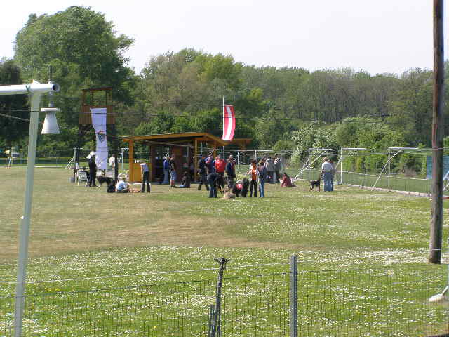 Rabit 040.jpg