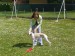 Rabit 043.jpg